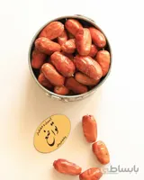 سنجد درشت