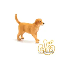 توله سگ زنده یاب طلایی Golden Retriever Puppy 387205