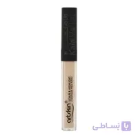 کانتور و کانسیلر مایع آرت اسکین (Artskin Sculpt & Highlight Contour Pro Artist)