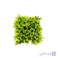 ديوار سبز مصنوعی مدل آناناسی