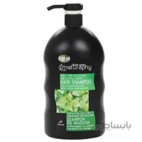 شامپو گزنه naturaphy مناسب موهای چرب و جلوگیری از ریزش مو حجم 1 لیتری