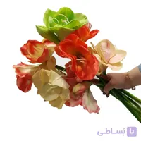 گل آماریلیس لمسی