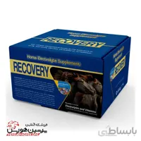 مکمل ریکاوری رویان هورس(Recovery)