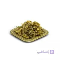 گل مغربی