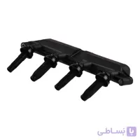 کوئل ۲۰۶ تیپ ۲ دیناپارت