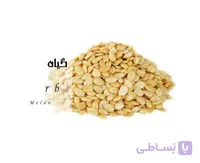 بذر خربزه