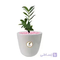 گیاه طبیعی زاموفیلیا سبز بزرگ مدل GN13-18L