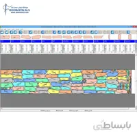 نرم‌افزار چیدمان الگو جمینی
