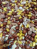 آجیل شور ممتاز 1000گرم