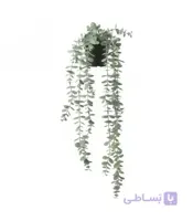 بوته آویز اکالیپتوس ایکیا مدل FEJKA