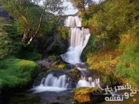 لوازم و مصالح بافت تابلو فرش طرح منظره آبشار کد 92455