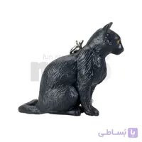 جاکلیدی گربه سیاه (Black Cat Keychain)