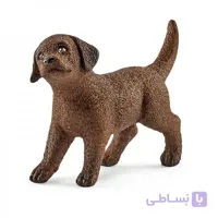 توله سگ لابرادور اشلایش 13835