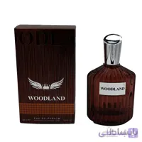 ادوپرفیوم عطر WOOLAND برند RKV مردانه 100 میل ** ارسال رایگان ا RKV WOOLAND EAU DE PARFUM e.100ML