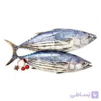 ماهی هوور (تن)