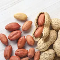 بذر بادام زمینی
