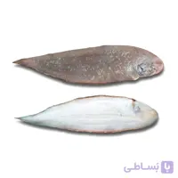 ماهی زبان