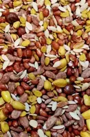 آجیل اقتصادی 1000گرمی