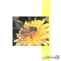 کتاب اصول نوین زنبورداری