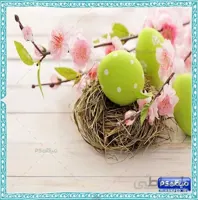 بک گراند تخم مرغ رنگی