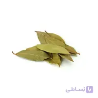 برگ بو