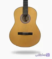 گیتار آراکس جی2