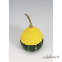 بذر کدو گلابی میکس بسته ۵ عددی