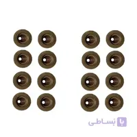 لاستیک ساق سوپاپ دنا