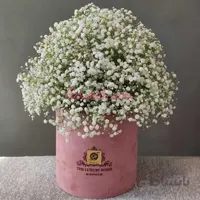 باکس گل ژیپسی