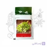 بذر خانگی گشنیز آذر سبزینه