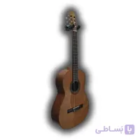 گیتار Antonio Sanchez