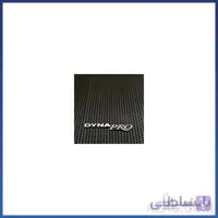 میکروفن بیسیم دستی دوکانال DYNAPRO مدل Z3