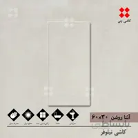 آتنا کرم روشن 30×60 براق درجه 2
