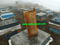 عسل طبیعی رامسرشاپ