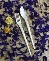 سرویس قاشق و چنگال ۳۰ نفره سیلور برند نیکولاس مدل مسینا