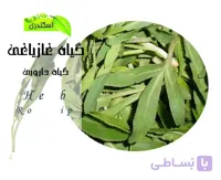 گیاه غزیاقی