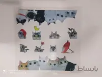 ترنسفر cat