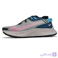 NIKE PEGASUS TRAIL 2