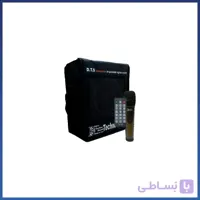 اکو همراه تکنو سوند ۵ اینچ بیسیم مدل TS60 WIR