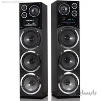 اسپیکر دوقلو حرفه ای دنای DE-3010PW
