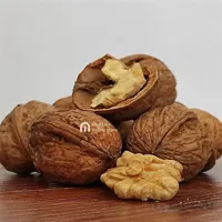 گردو تازه محلی ماکو (حجم ۱ کیلو گرم)