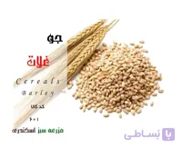جودوسر ایرانی ارگانیک