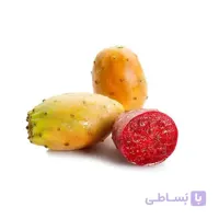 بذر کاکتوس اپونتیا میوه دار نارنجی