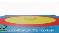 تشک کشتی خانگی 3*3*5 سانتی متر ا home ship mats