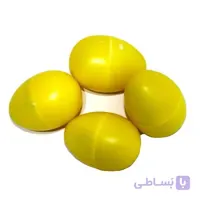 شیکر تخم مرغی آکبند