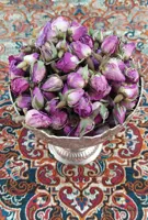 غنچه گل محمدی کد 441227