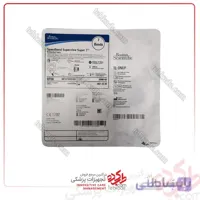 بندلیگاتور مری بوستون