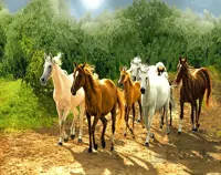 نخ و نقشه طرح اسب ها کد 637