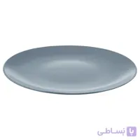 بشقاب ایکیا DINERA خاکستری