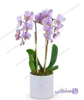 گل ارکیده دو شاخه ORK02